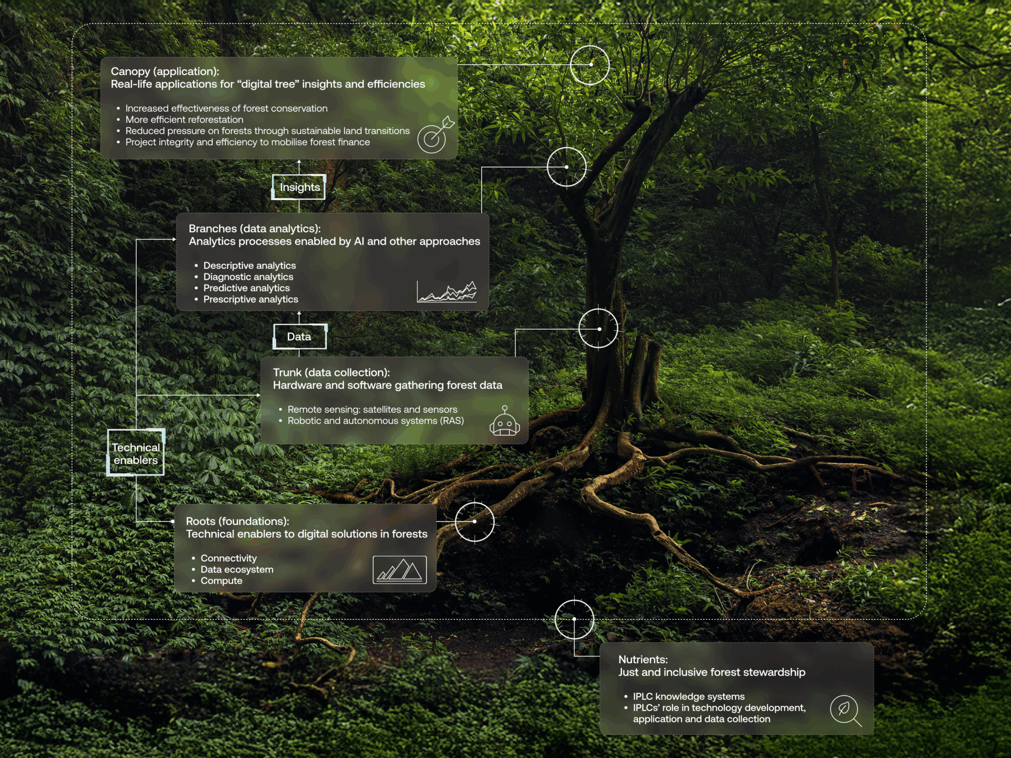 Forets Innodation Live Canopy: Harnessing AI And Digital Innovation for Forest ...